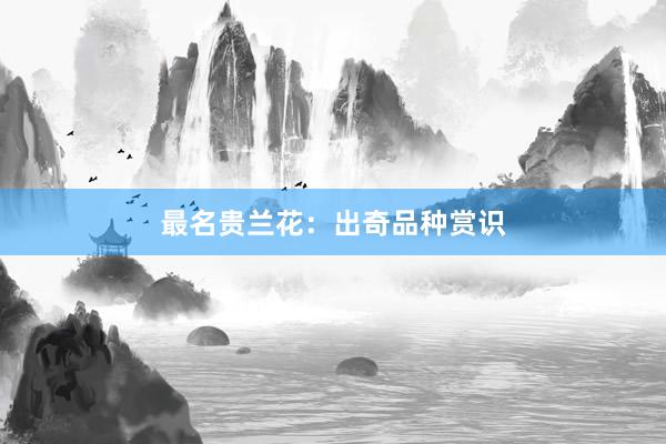 最名贵兰花：出奇品种赏识